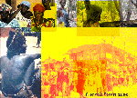 AFRICA 96 copie.gif